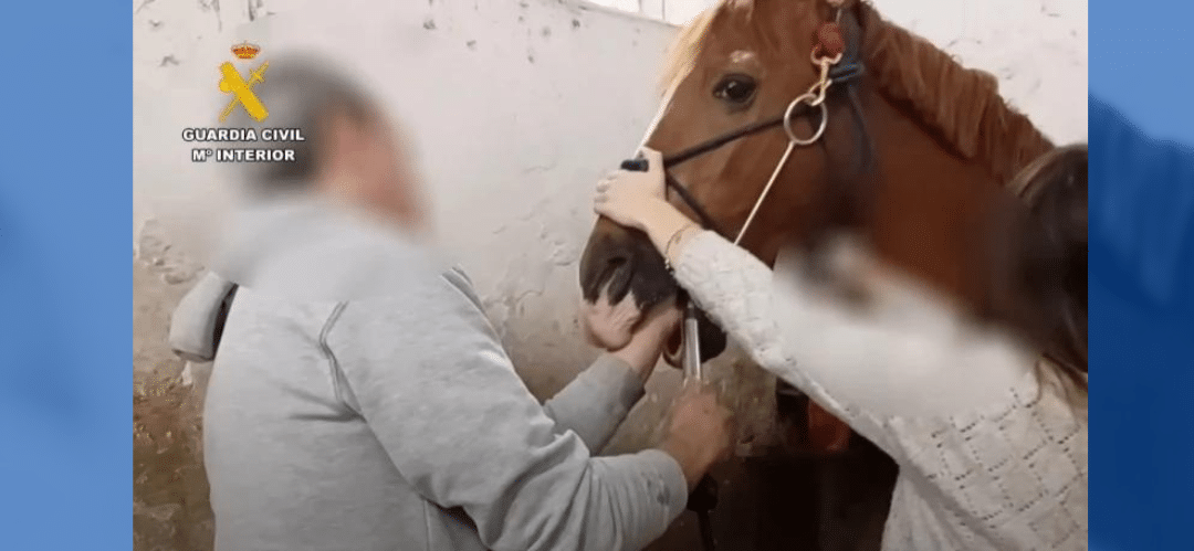 Investigan a un presunto falso veterinario de equinos en La Rioja