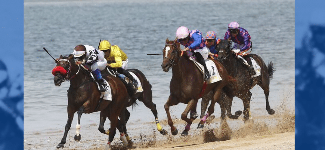 El reinado de los caballos Pura Sangre en el mundo de las carreras