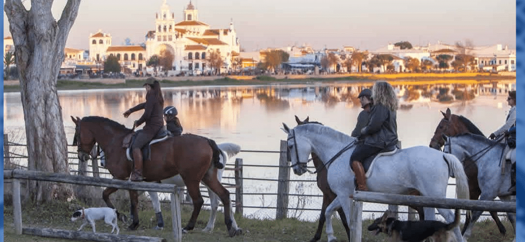 Recomendaciones Veterinarias para el Bienestar de los Caballos en El Rocío