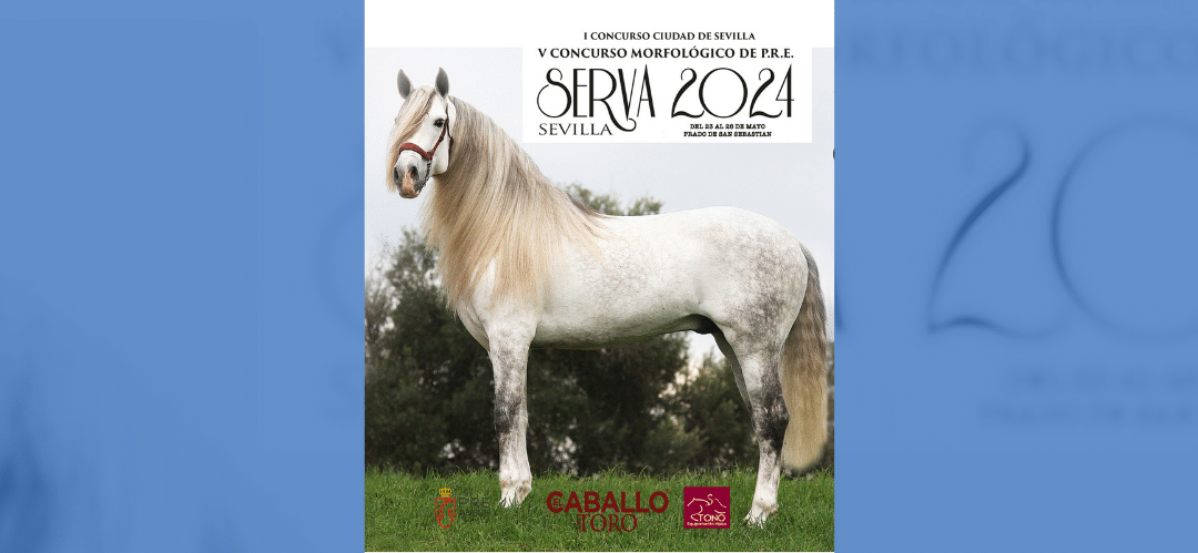 V Concurso Morfológico para Caballos de Pura Raza Española Serva 2024