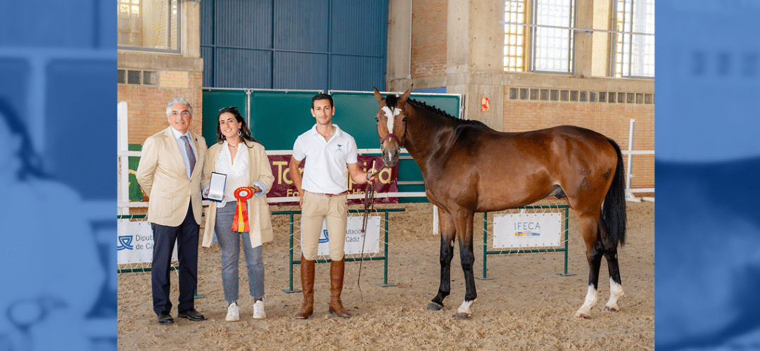 Concurso Morfológico Anglo-Árabe en Jerez de la Frontera