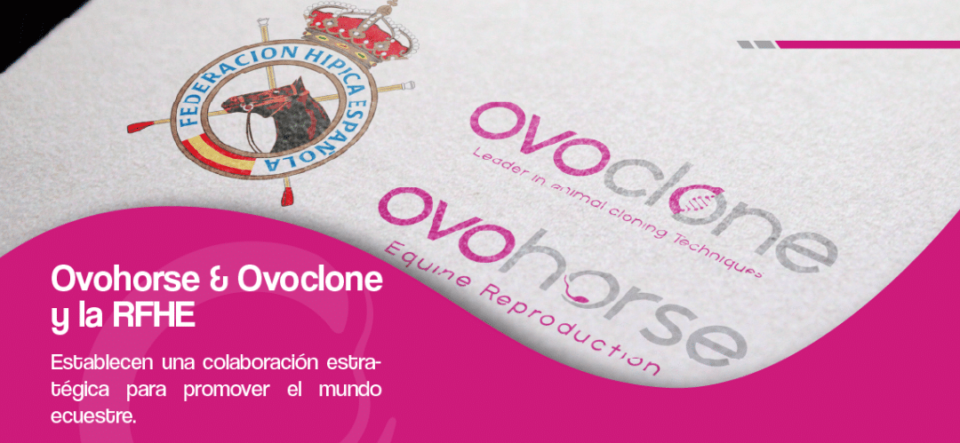 Ovohorse & Ovoclone y la RFHE anuncian una colaboración estratégica para impulsar el sector Ecuestre