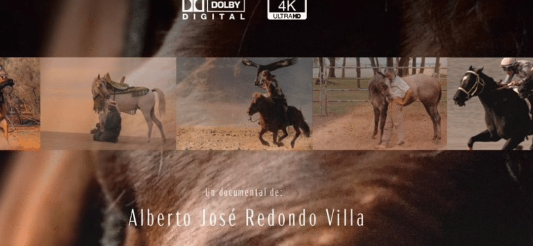La Facultad de Veterinaria de Murcia presentó el Making Of del Documental ‘Caballos’