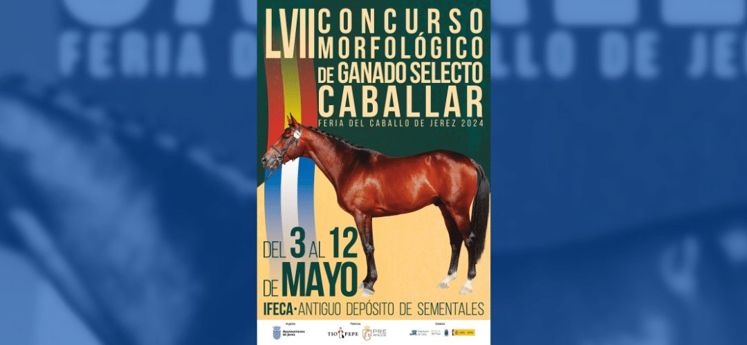 El Anglo-Árabe Salado 16,50% destaca en el Cartel de la Feria del Caballo de Jerez 2024