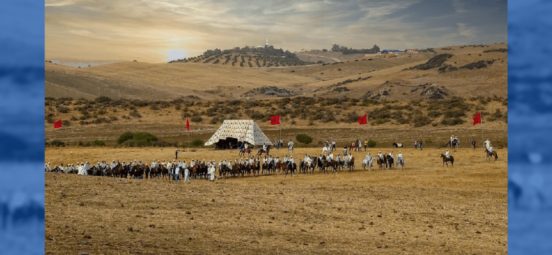 El Festival Internacional de Arte Ecuestre de Mata celebra su reconocimiento como Patrimonio Inmaterial