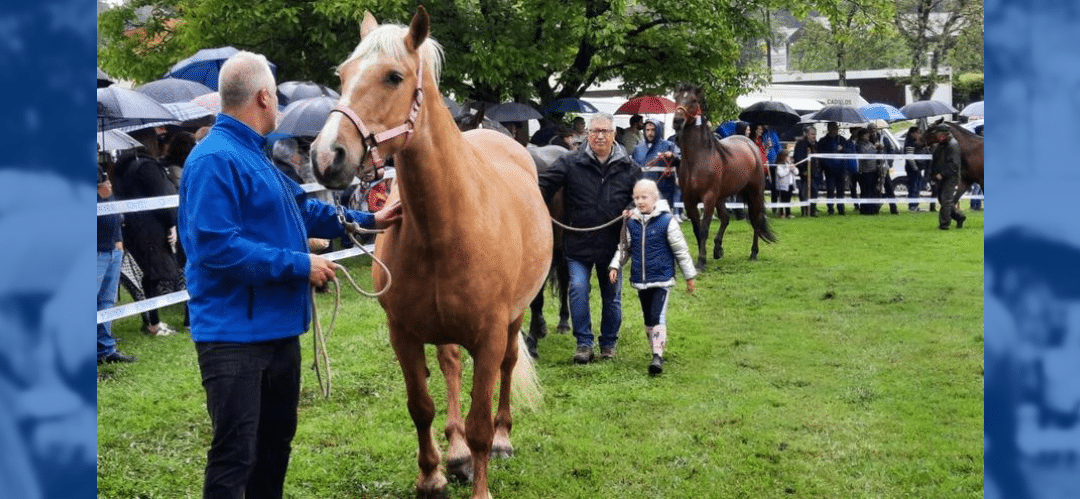 Vilarmaior Celebra la Feira das Flores