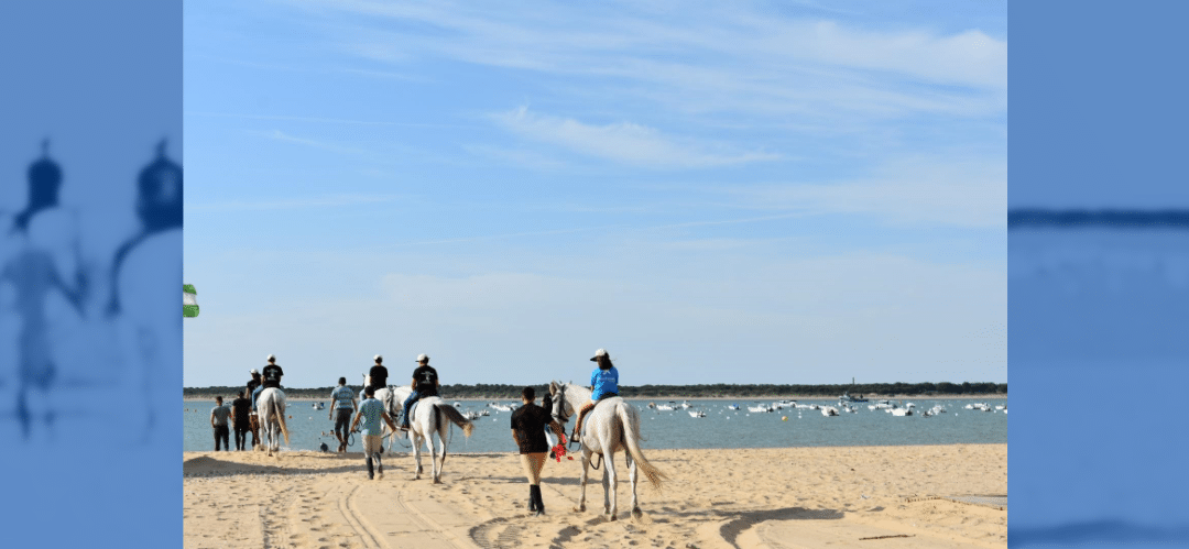 Voluntariado CaixaBank acompaña a diez jóvenes en situación de vulnerabilidad en un paseo en caballo en las Playas de Sanlúcar de Barrameda