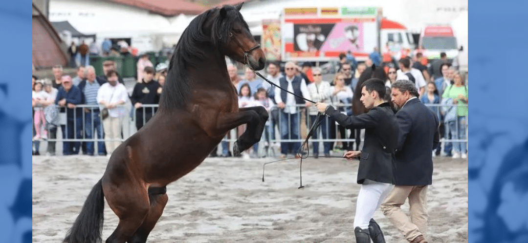 Las Festas da Ascensión celebran la Tradición Ecuestre en Amio