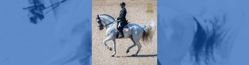 lusitano