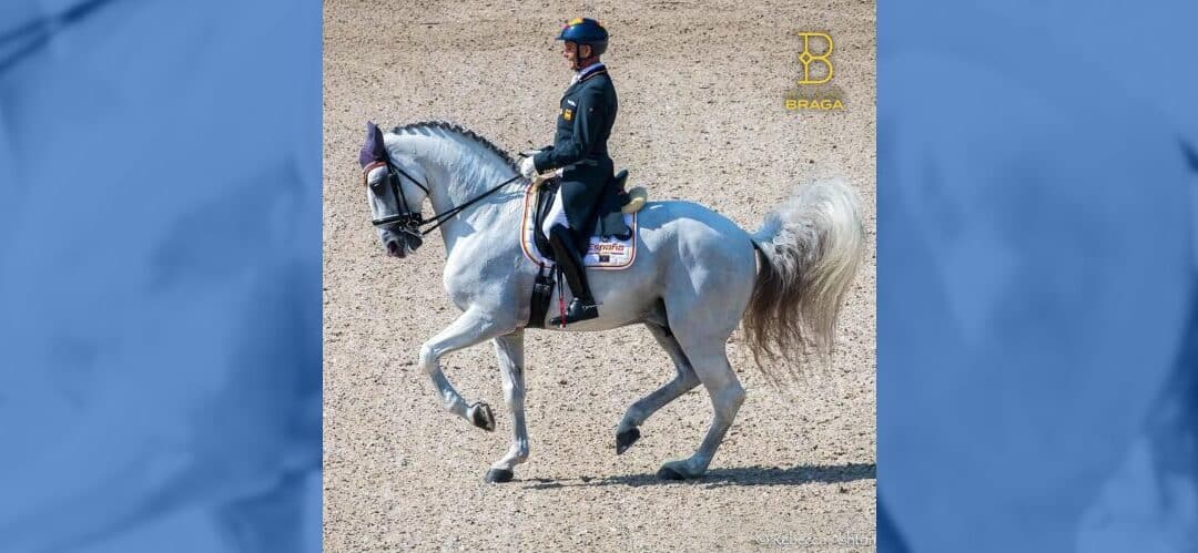 El caballo lusitano, más arte ibérico