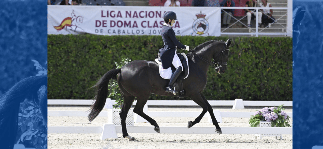 Carlos Bayo Calvo ganador del Máster 7 años del Campeonato de España de Doma Clásica 2024