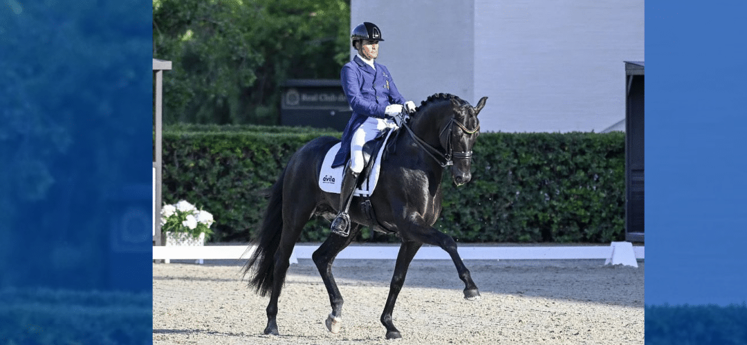 Antonio Laiz Zandio ganador de la Kür Intermedia I del Campeonato de España de Doma Clásica