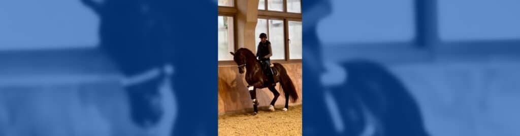 Alejandro Asencio proyectos