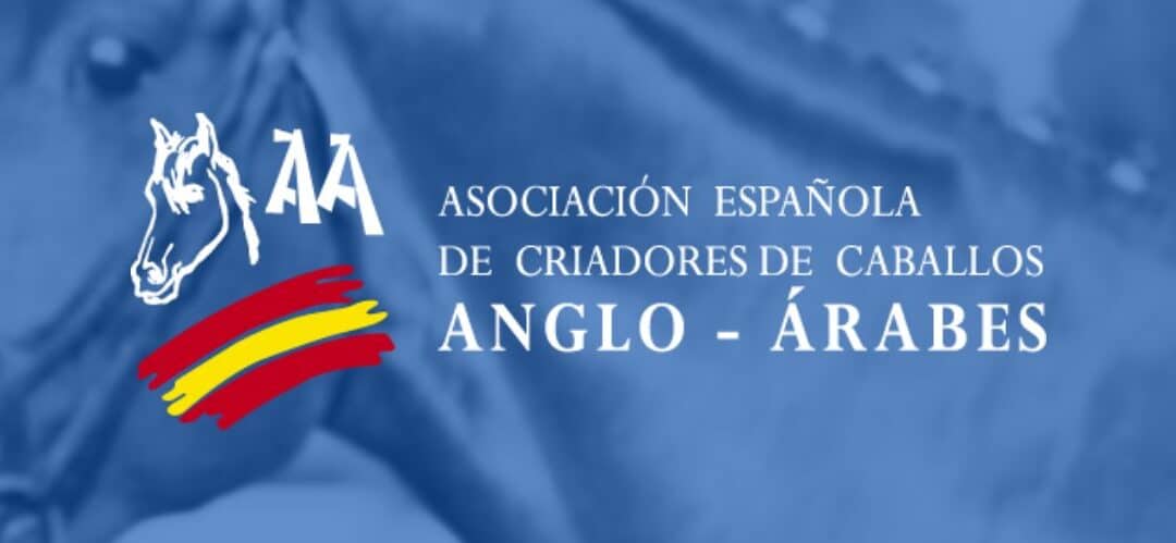 La Asociación Española de Criadores de Caballos Anglo-Árabes recibe la finca El Galopadero para uso hípico