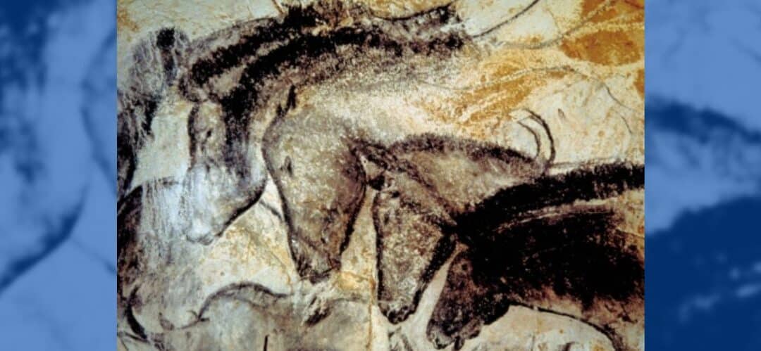 Los arqueólogos han rastreado el origen del caballo y desde cuándo el humano los monta