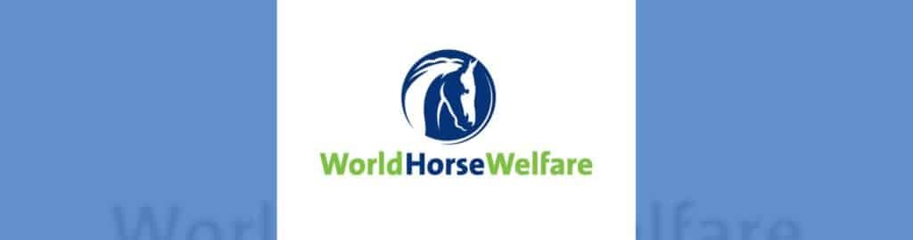 World Horse Welfare encuesta anual