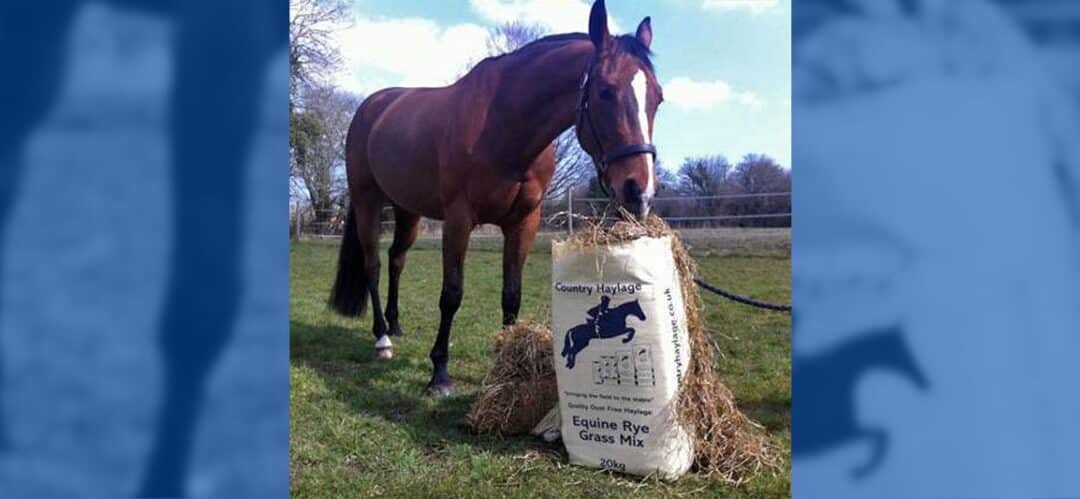 Country Haylage Rye Grass Mix: el mejor ensilado para tu caballo en Special Feeds