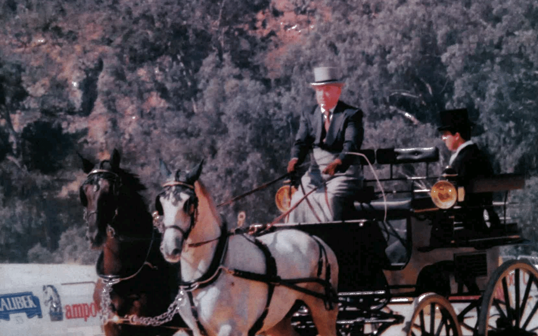 Don José Luis Martín Lorca, fundador de Yeguada Indalo