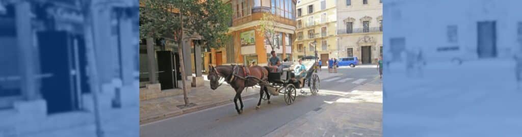 manifestación Palma caballos galeras