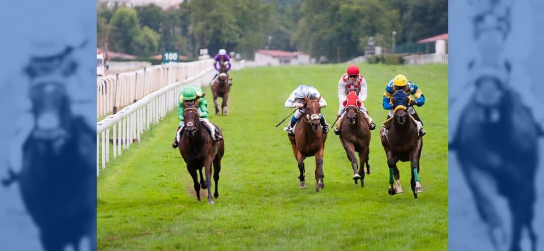 Tardes de verano: Carreras en el Hipódromo Vasco