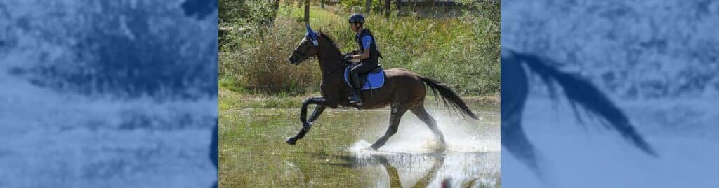 David Periñán Arquillo Campeonato de Europa