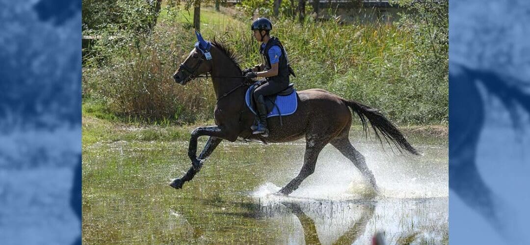 Buenos resultados de Arquillo DV 33.01% y David Periñán en el Campeonato de Europa CCE 2024