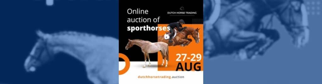 Dutch Horse Trading 2024