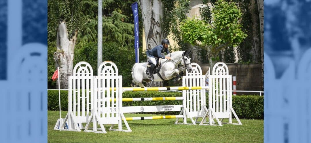 Cómo preparar a un caballo para su primera competición 