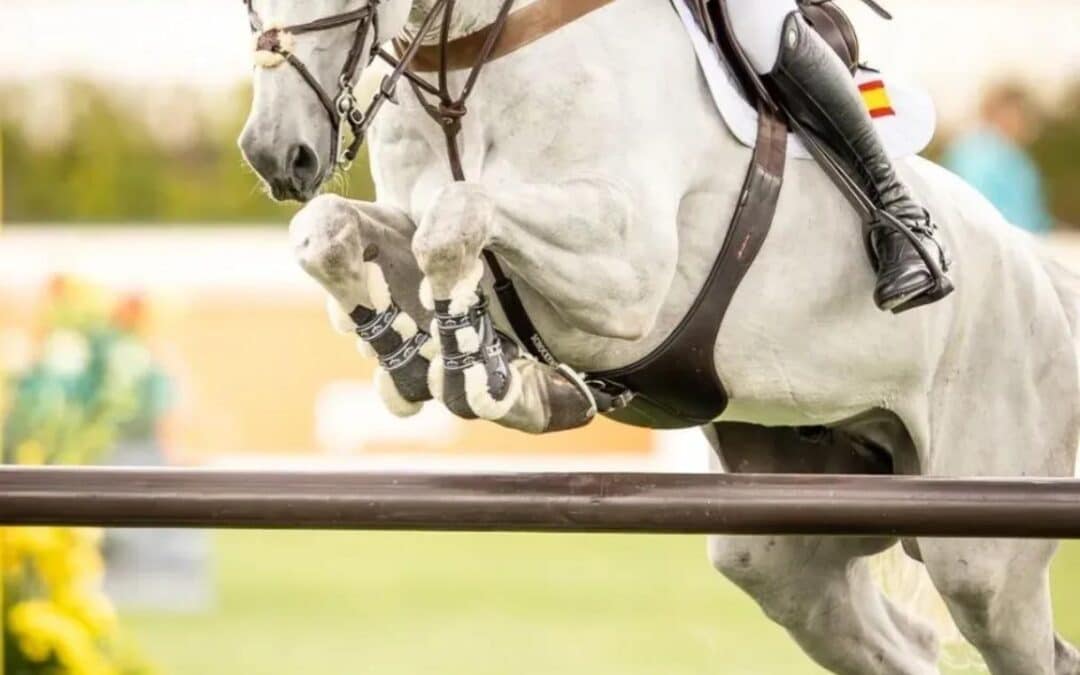 Horarios canadienses de la tercera jornada de Spruce Meadows “Masters”