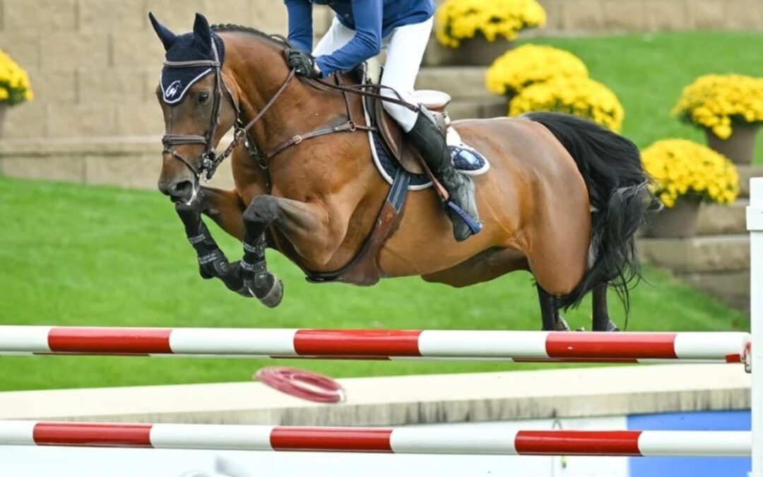 Hablamos sobre Julien Gonin, ganador de la Cardel Homes Cup en el Masters de Spruce Meadows