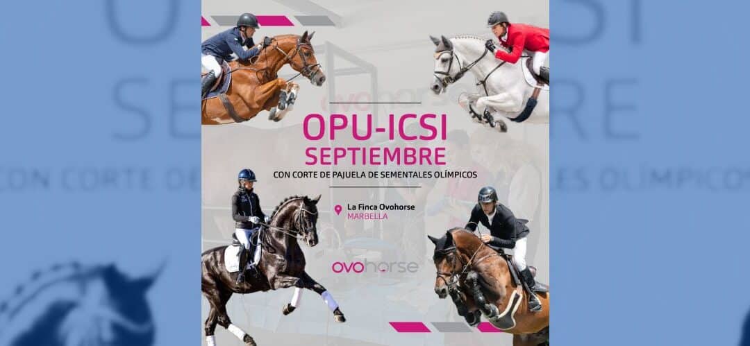 Últimas plazas: OPU-ICSI de Ovohorse con sementales olímpicos