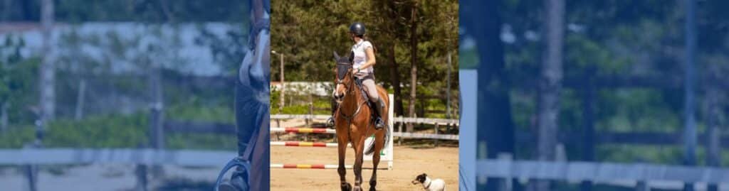 CSN2* Club Hípico Equigalia