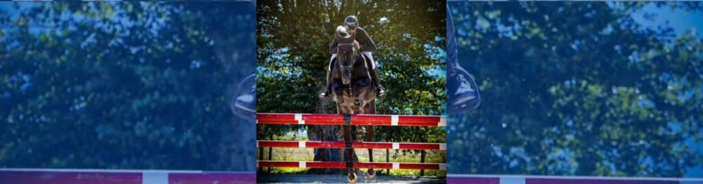 Campeonato de Salto de Obstáculos de Cataluña