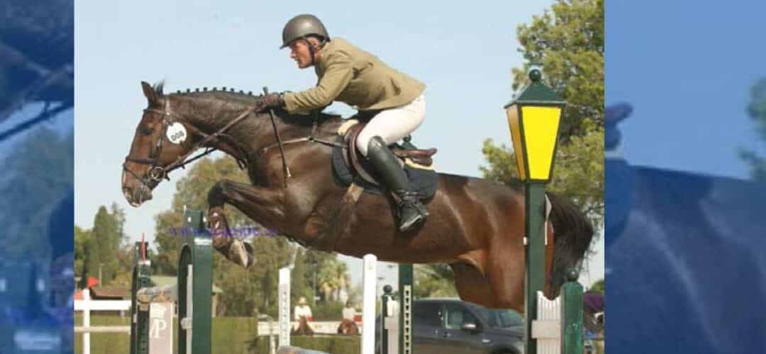 XXXIII Campeonato Nacional Militar de Equitación: Una semana de pasión ecuestre en Madrid