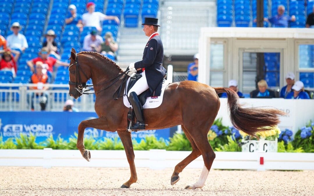 Dono di Maggio: Del éxito internacional a una nueva vida como caballo maestro en India