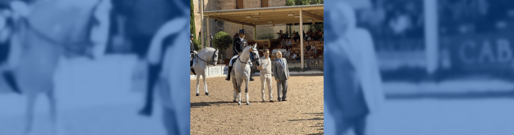 José Antonio García Mena Campeonato de Europa del Caballo Lusitano