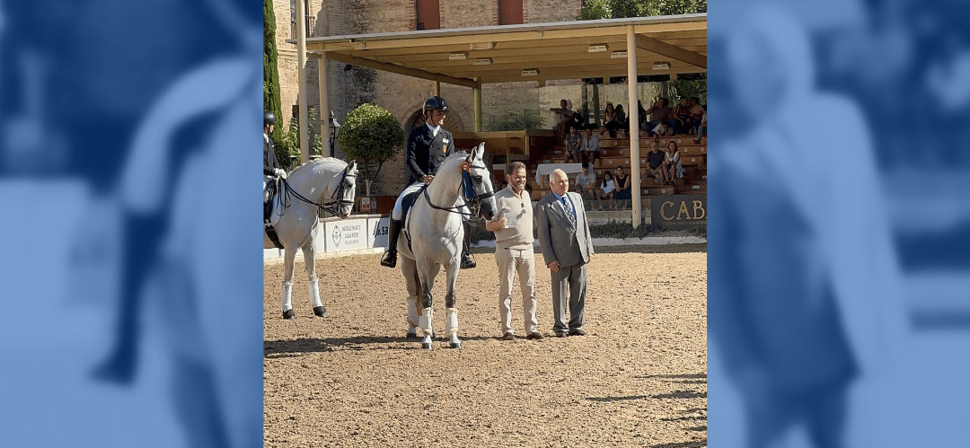 José Antonio García Mena brilla en el Campeonato de Europa del Caballo Lusitano con tres podios