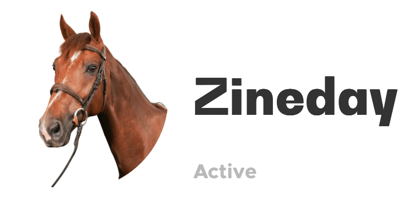 Zineday