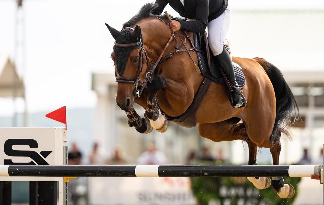 Garazi Landeta y Emir de Burgo, Campeones de España de Jóvenes Jinetes en Salto de Obstáculos 2024