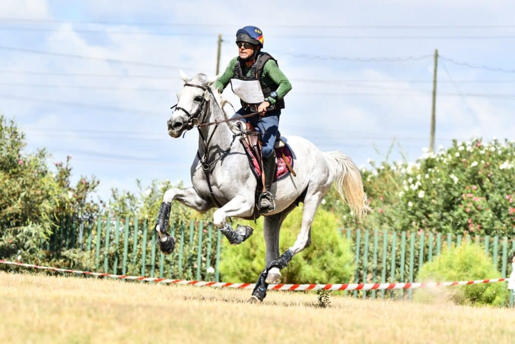 Gran Semana del Anglo-Árabe