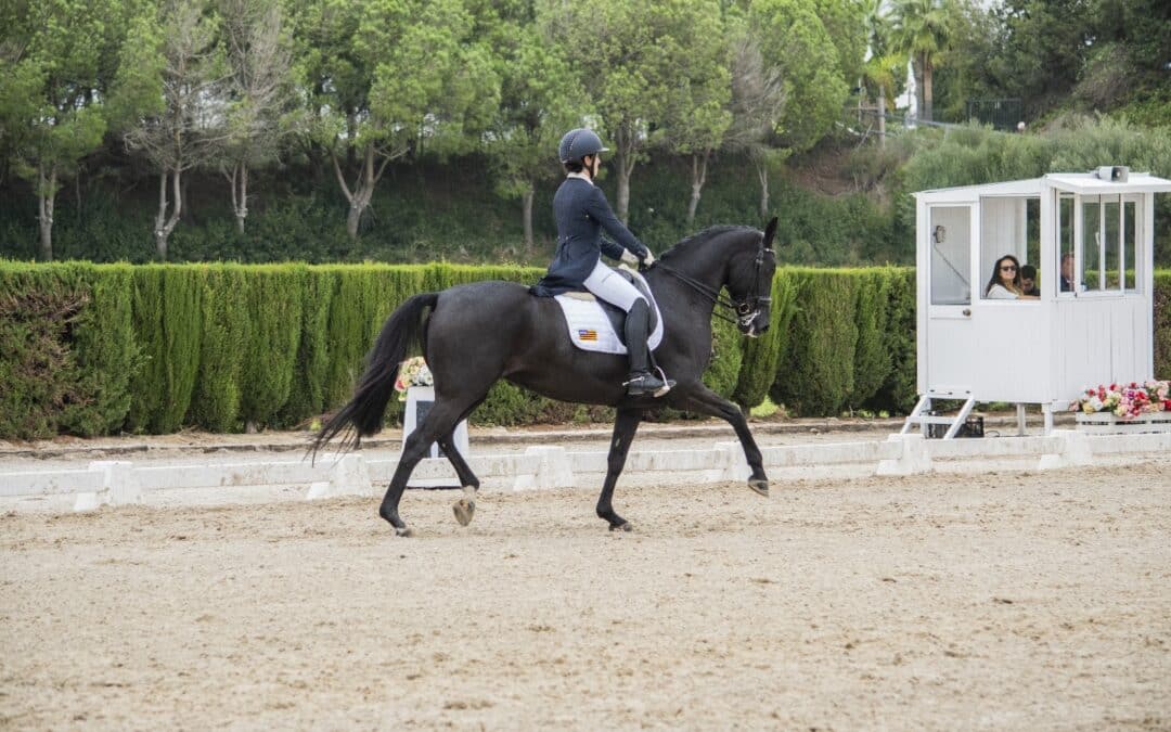 Horarios de la última jornada del Campeonato de España de Doma Clásica de Caballos Jóvenes 2024