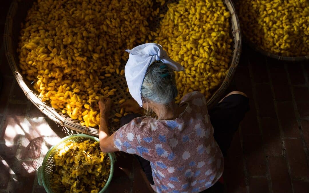 La historia de los caballos en las vías comerciales de la Ruta de la Seda