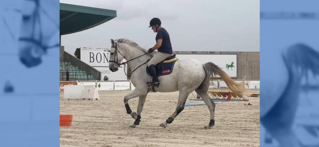 Arranca el VIII Campeonato de España de Veteranos en el Real Club Pineda de Sevilla