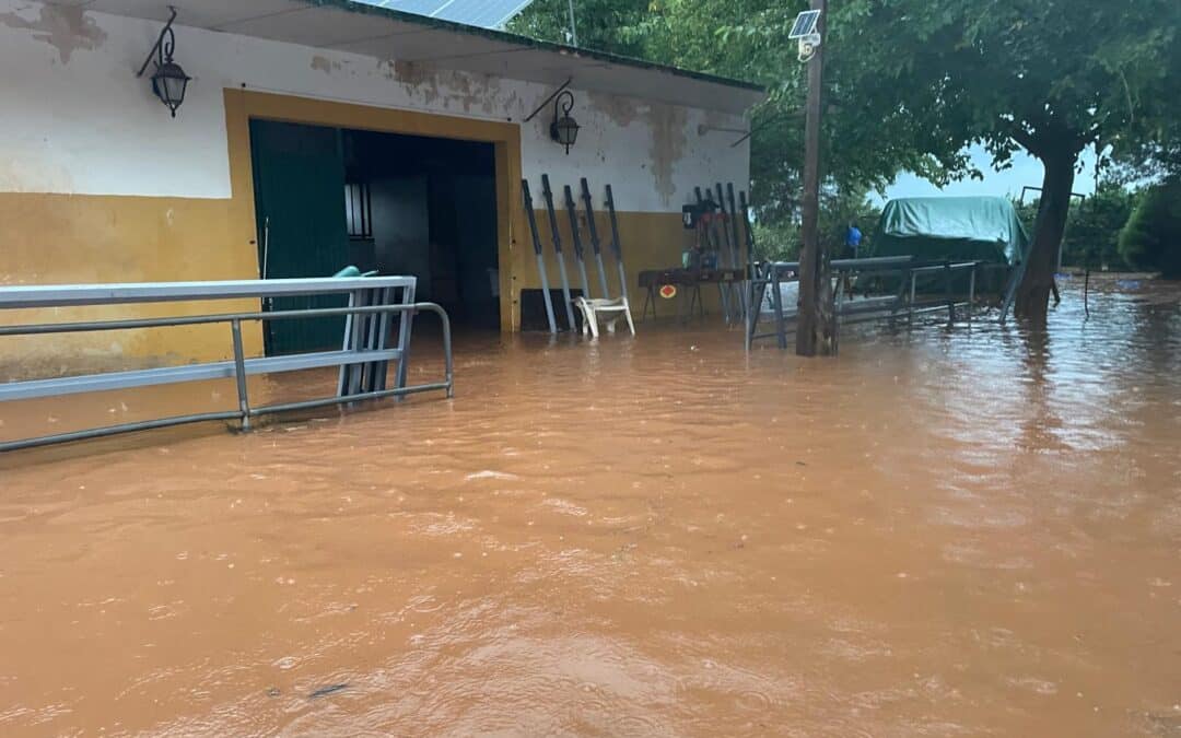 Las notarías al servicio de los afectados por la DANA