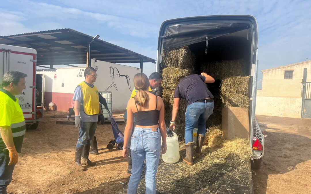 Las pequeñas hípicas también se movilizan por Valencia