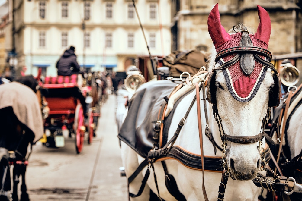 Carruaje de caballo