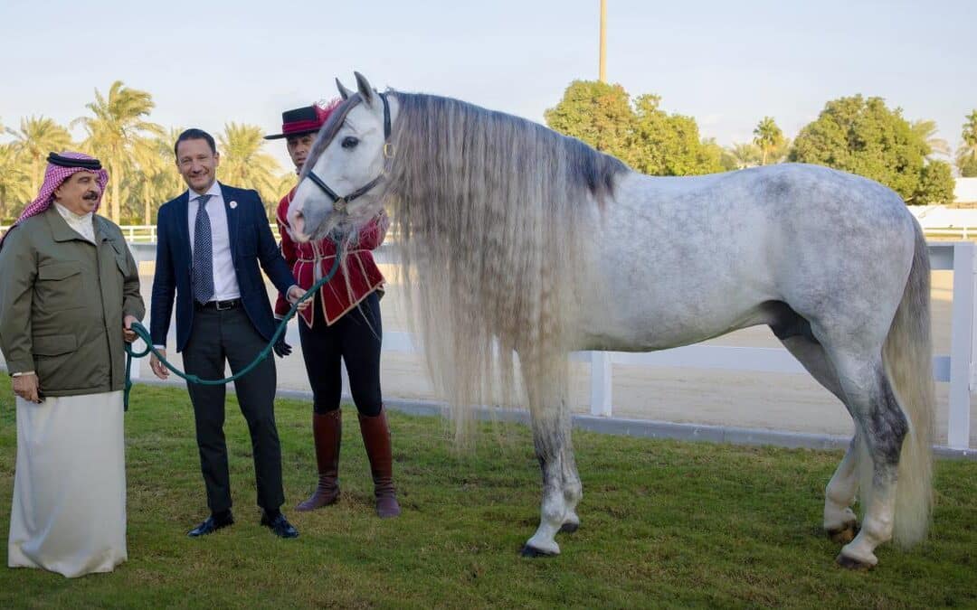 Un caballo cordobés, regalo de honor para el rey de Bahréin