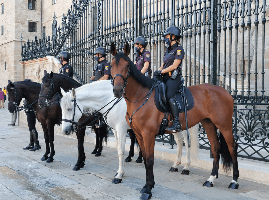 La seguridad de la Navidad en Madrid