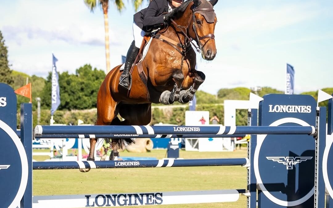 Julio Arias lleva la bandera Española al CSI5-W de Mechelen