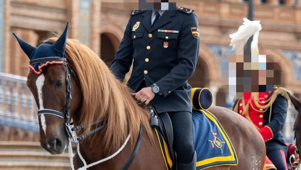 Pomo', caballo de la Unidad de Caballería de la Policía Nacional en Sevilla